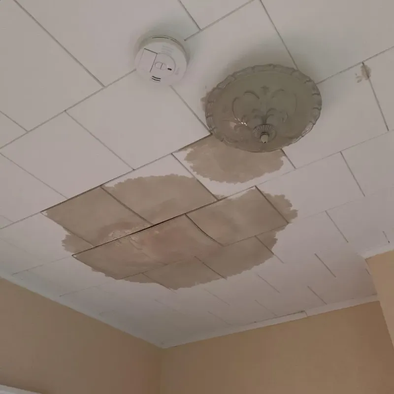 Ceiling Water Damage Repair in Gadsden County, FL
