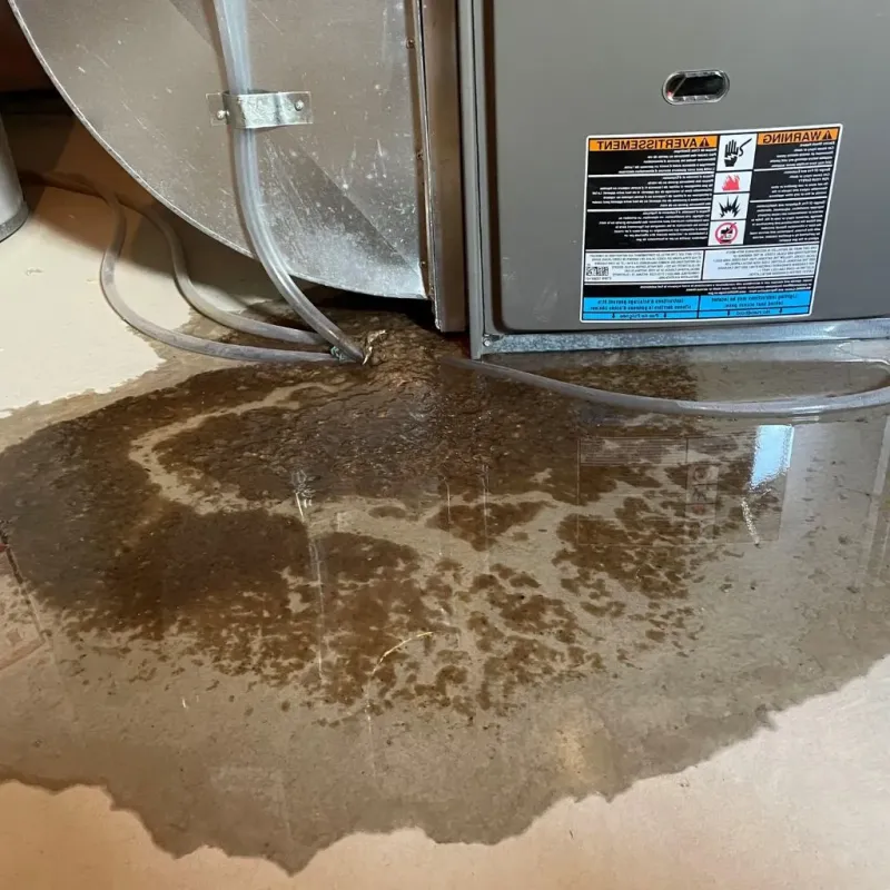 Pipe Burst and Leak Restoration in Gadsden County, FL