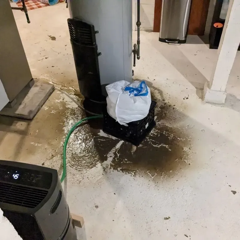 Sewage Backup Cleanup Service in Gadsden County, FL
